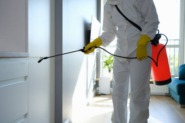 Best Home Mold Removal  in Tieton, WA
