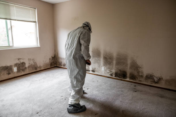 Best Commercial Mold Removal  in Tieton, WA
