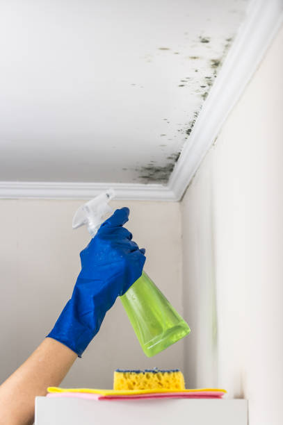 Best Office Mold Removal Services  in Tieton, WA